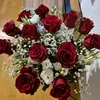 fa_dao_sheeva