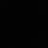 anis_arg213