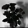 joe882970