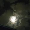 5_jcp