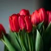 shahsawar10799