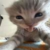 lilyann23137