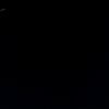 emanuel_12717