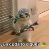 antonio.ledezma17