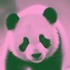 serverpanda_