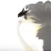 dtyhv66