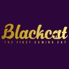 theblackcat2024