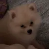 mzyxkc_