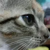nhatminh280124