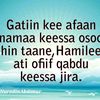 muhammed.amaan7