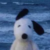 lthnhuyn2
