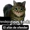 todoppxt7b4
