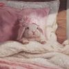 whimsylemons