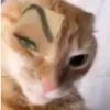 vuamoiancom