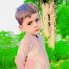 ranatabish513