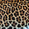 sophie._074