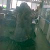 .nam_555