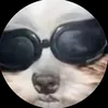 itsvstell