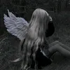 evasires