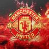 degea81012