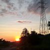 donvic_75