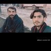 shari.ali296