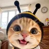 catcute_45073