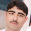 arif.hussain6505