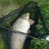 fishing_with_friends.12
