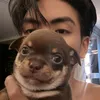 pi_joongdunk3