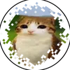 assinmyfuckingtears