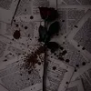 rose_8658
