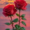 mdmohiuddin3642