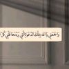 zcghi.csy5