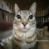 fernan_0858