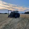 wurstfee_7530