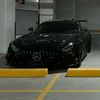 envermirbey_0634