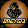 brey1237