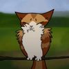 m3owl.__._