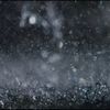 dreamwalkermoon1010