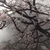 sway