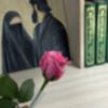 veiled.rose1