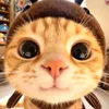 aali_657