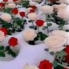 user9510458201887