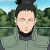 dshikamaru8