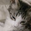 beymar_qr