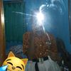 cby_putrisolodiah