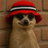 sammychuks2025