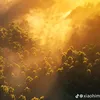 mig_rainier_edit