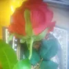 yona.keem